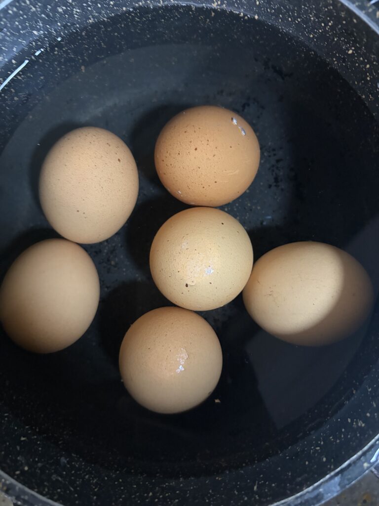 Eggs in a pot of water